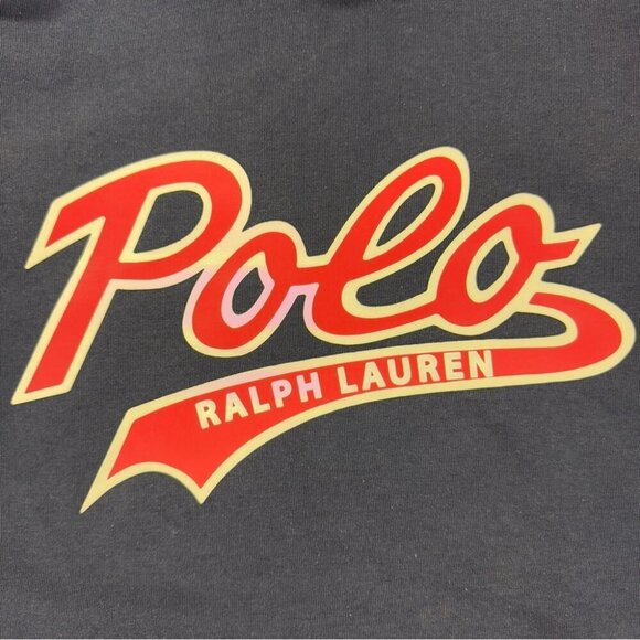 Polo Ralph Lauren Men's Size Large Script Spell Out Hoodie Embroidered Casual - Picture 11 of 13